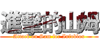 進擊的山姆 (Attack on Sam for Infoblox)