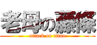 老母の藤條 (attack on titan)