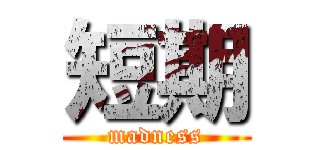 短期 (madness)