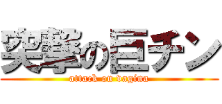 突撃の巨チン (attack on vagina)