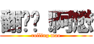 翻滚吧！阿懋 (rolling mao)