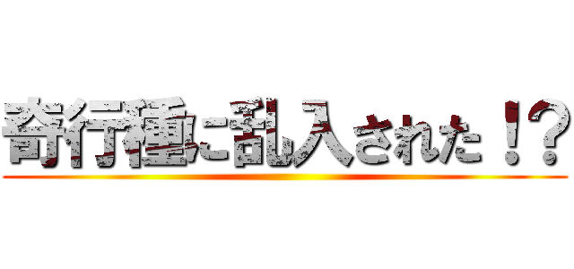 奇行種に乱入された！？ ()