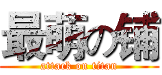 最萌の铺 (attack on titan)