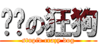 煞笔の狂狗 (stupid crazy dog)