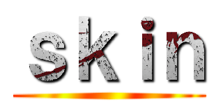 ｓｋｉｎ ()
