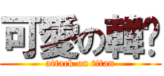 可愛の韓姬 (attack on titan)