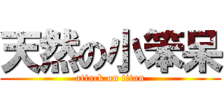 天然の小笨呆 (attack on titan)