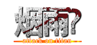 烟雨💪 (attack on titan)