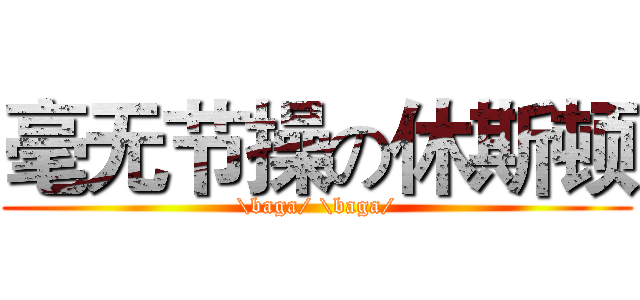 毫无节操の休斯顿 (\baga/ \baga/)