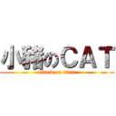 小豬のＣＡＴ (attack on titan)