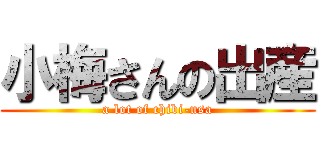 小梅さんの出産 (a lot of chibi-usa)