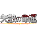 矢散の命運 (dart missing destiny)