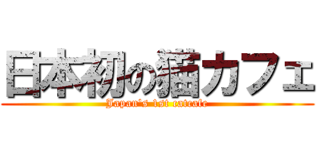 日本初の猫カフェ (Japan's 1st catcafe)