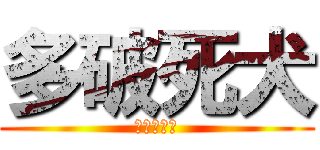 多破死犬 (タパシワン)