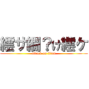 繧サ繝？け繧ケ (attack on titan)