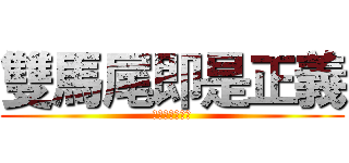 雙馬尾即是正義 (一生粉你不解釋)