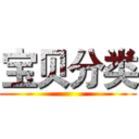 宝贝分类 ()
