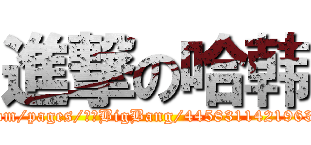 進撃の哈韩 (facebook.com/pages/唯爱BigBang/445831142196365?ref=hl)