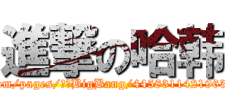 進撃の哈韩 (facebook.com/pages/唯爱BigBang/445831142196365?ref=hl)