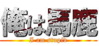 俺は馬鹿 (I am stupid)