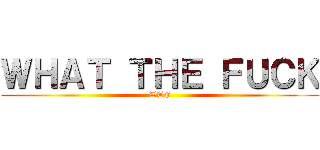 ＷＨＡＴ ＴＨＥ ＦＵＣＫ (WTF)