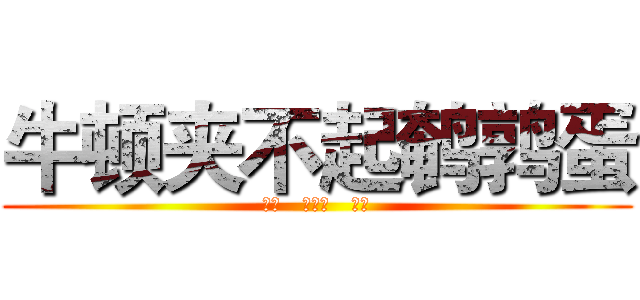 牛顿夹不起鹌鹑蛋 (宋悦   赖冬梅   王睿)