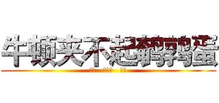 牛顿夹不起鹌鹑蛋 (宋悦   赖冬梅   王睿)
