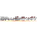 選挙なんか誰が行くかボケ (attack on titan)