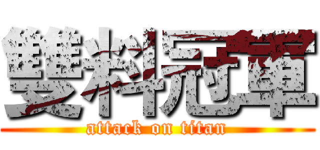 雙料冠軍 (attack on titan)