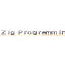 Ｚｉｇ Ｐｒｏｇｒａｍｍｉｎｇ Ｌａｎｇｕａｇｅ (Zig Software Fountation)