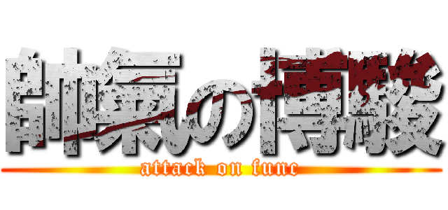 帥氣の博駿 (attack on func)