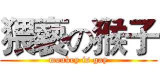 猥褻の猴子 (monkey is gay)