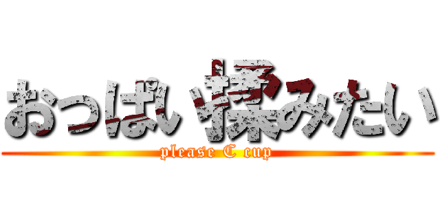 おっぱい揉みたい (please C cup)