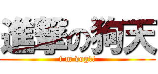 進撃の狗天 (i m dog!!)