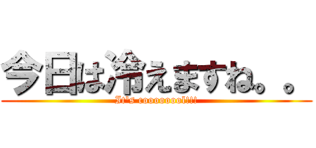 今日は冷えますね。。 (It's coooooool!!!)