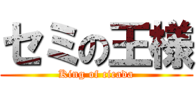 セミの王様 (King of cicada)