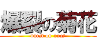 爆裂の菊花 (burst on anus)