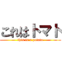 これはトマト (this is a potato)