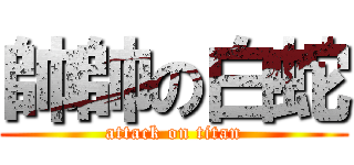 帥帥の白蛇 (attack on titan)