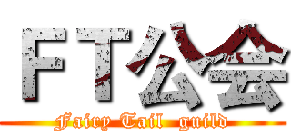 ＦＴ公会 (Fairy Tail  guild)