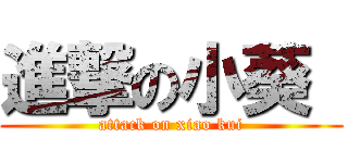 進撃の小葵  (attack on xiao kui)