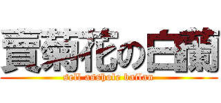 賣菊花の白蘭 (sell asshole bailan)