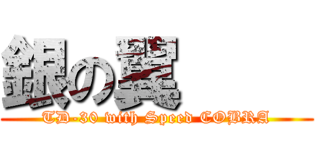 銀の翼     (TD-30 with Speed COBRA)