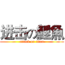进击の鯉魚 (attack on titan)