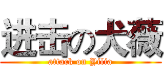 进击の犬薇 (attack on Yilia)