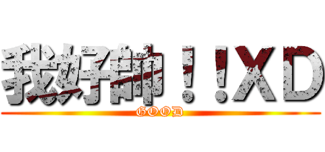 我好帥！！ＸＤ (GOOD)