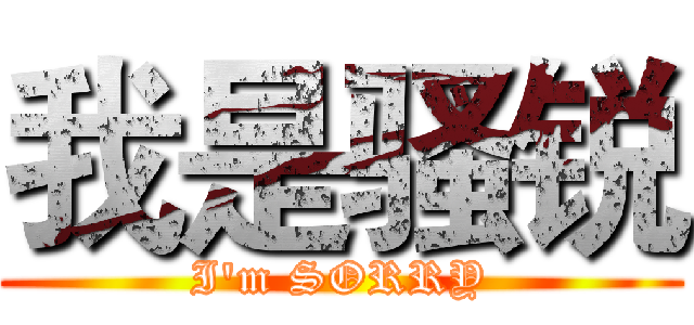 我是骚锐 (I'm SORRY)