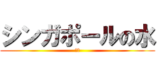 シンガポールの水 (一班)