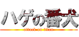 ハゲの番犬 (attack on titan)