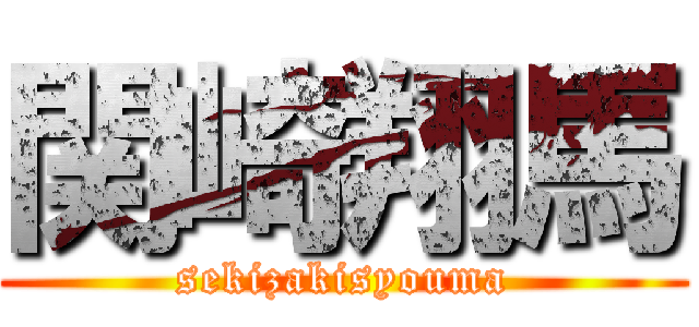 関崎翔馬 (sekizakisyouma)